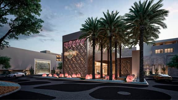 Hard Rock Hotel Los Cabos - Image 3